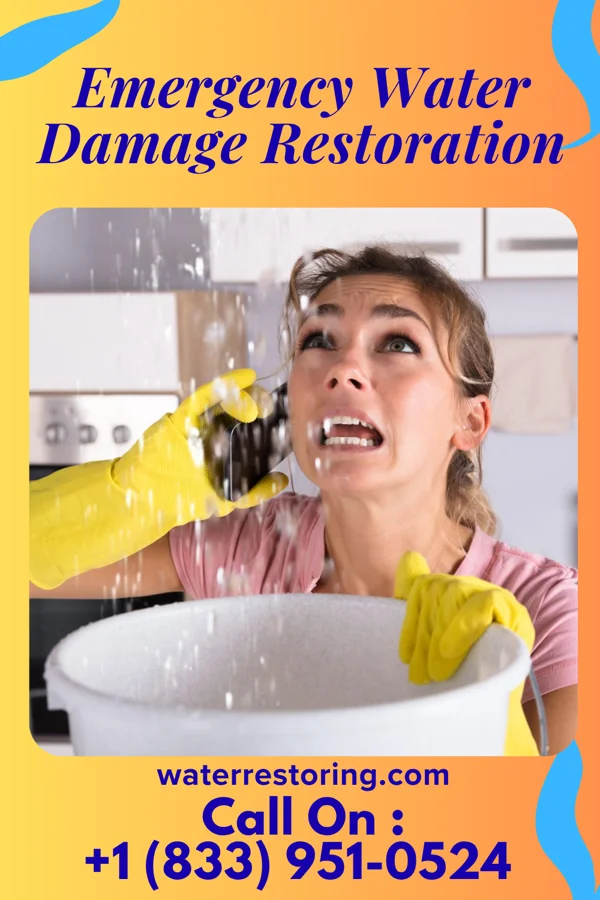 Emergency Water Damage Restoration in North Bay, WI