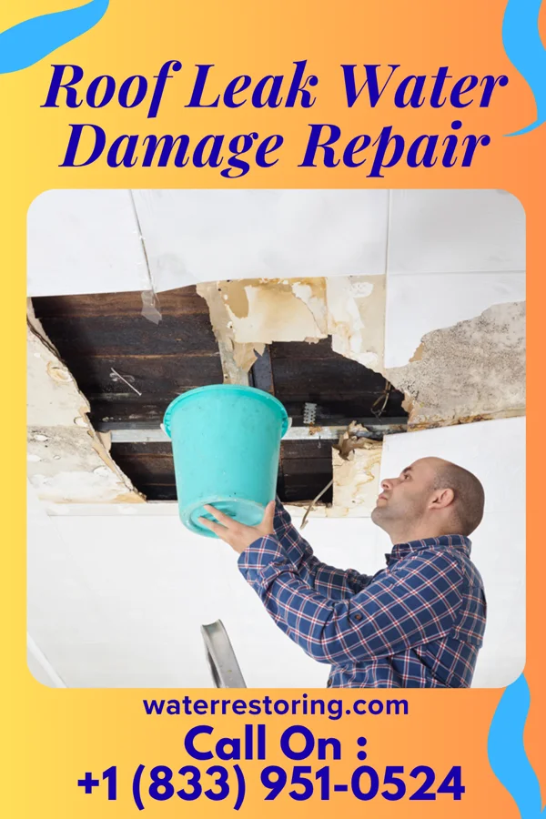 Roof Leak Water Damage Repair in North Bay, WI