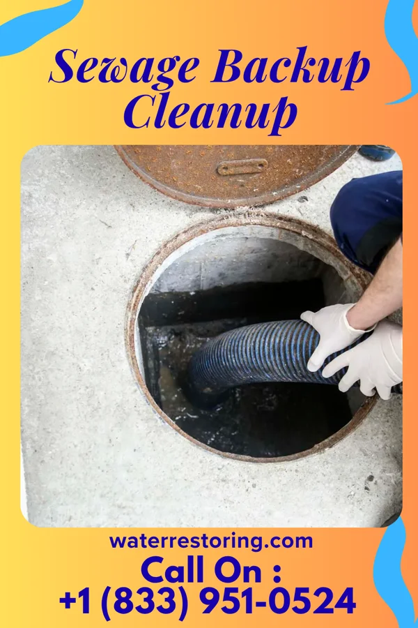 Sewage Backup Cleanup in North Bay, WI